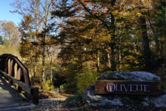 Olivette Entrance
